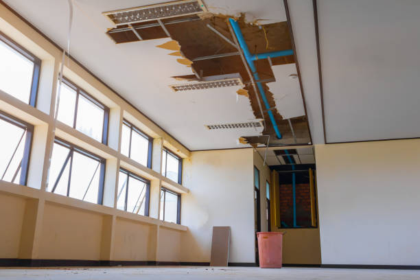 Best Sewage cleanup and water damage restoration  in Lone Tree, IA