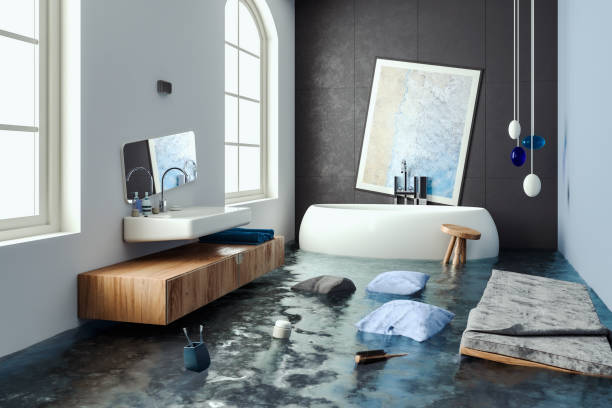 Best Water damage restoration near me  in Lone Tree, IA