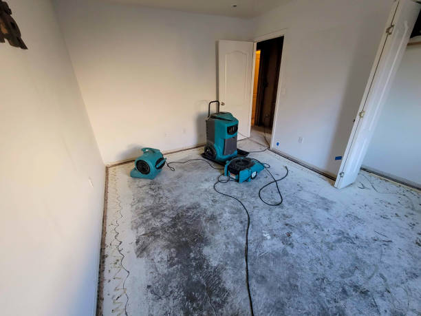 Best Emergency water damage restoration  in Lone Tree, IA