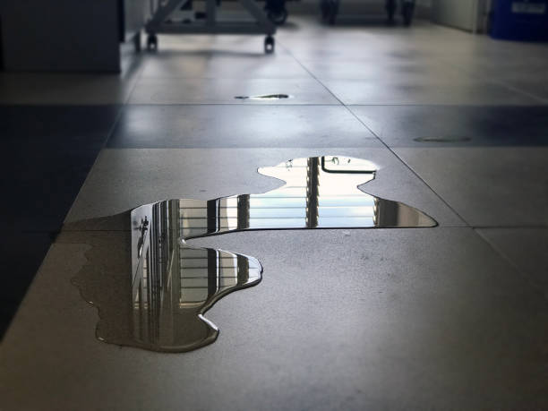 Best Water damage cleanup near me  in Lone Tree, IA