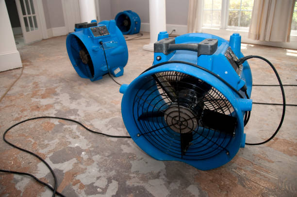 Best Water damage repair service  in Lone Tree, IA