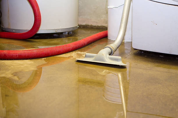 Best 24-hour water damage restoration  in Lone Tree, IA