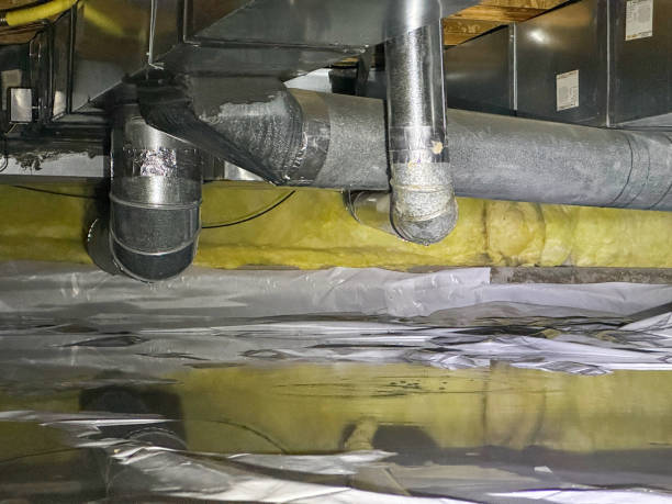 Best 24/7 water damage repair  in Lone Tree, IA