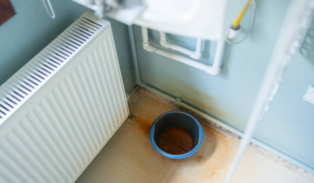 Lone Tree, IA Water damage restoration Company