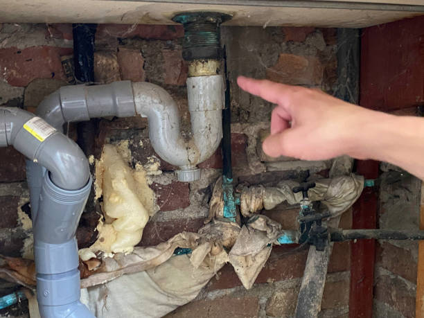 Lone Tree, IA Water damage restoration Pros